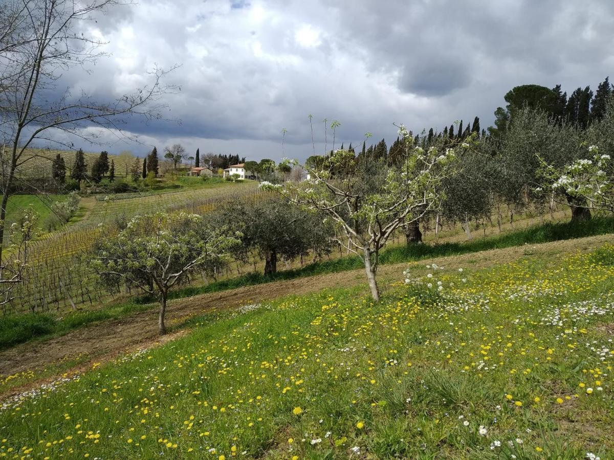 Villa Agriturismo Ca'De'Gatti à Faenza Extérieur photo