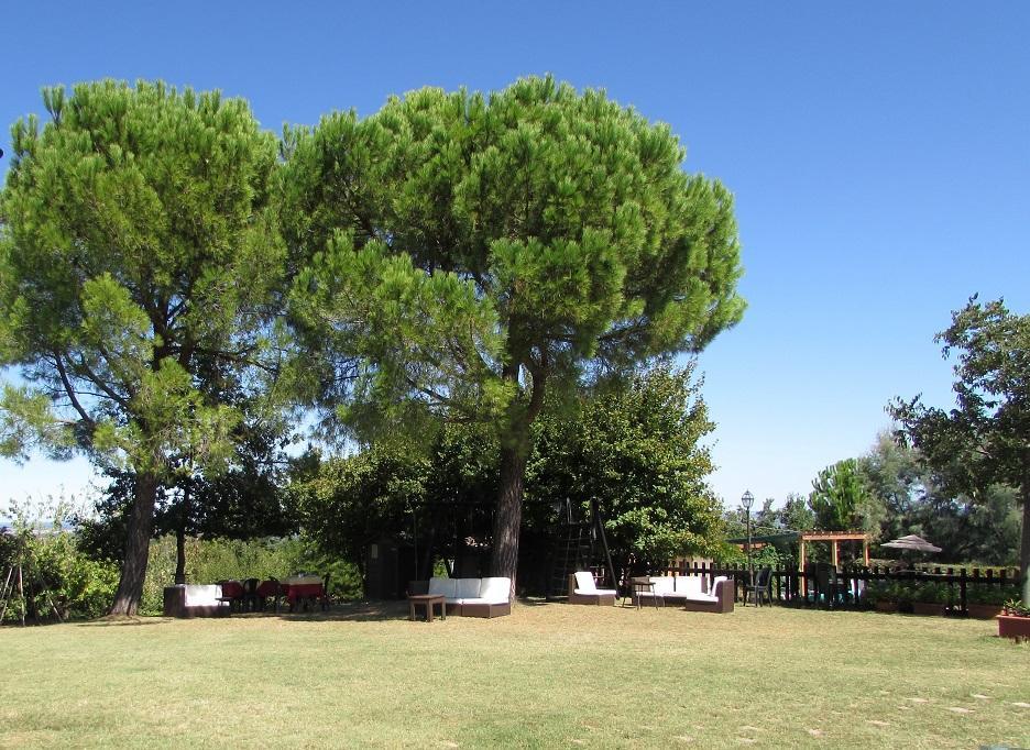 Villa Agriturismo Ca'De'Gatti à Faenza Extérieur photo