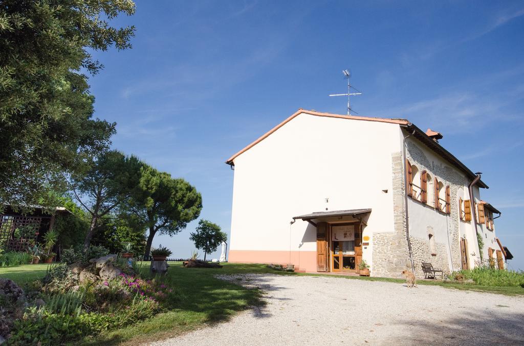 Villa Agriturismo Ca'De'Gatti à Faenza Extérieur photo