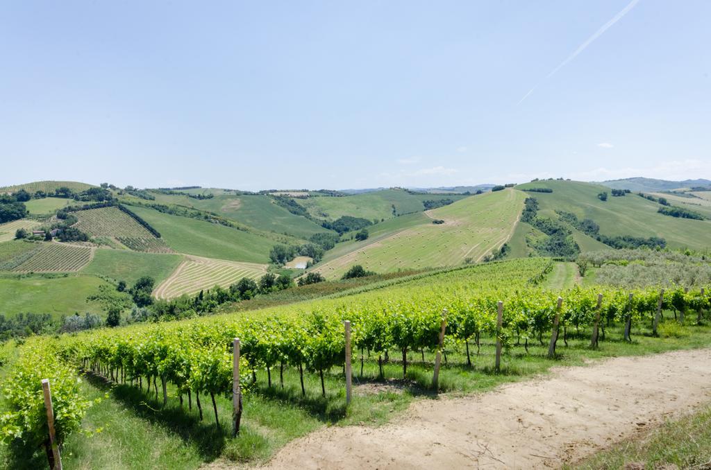 Villa Agriturismo Ca'De'Gatti à Faenza Extérieur photo