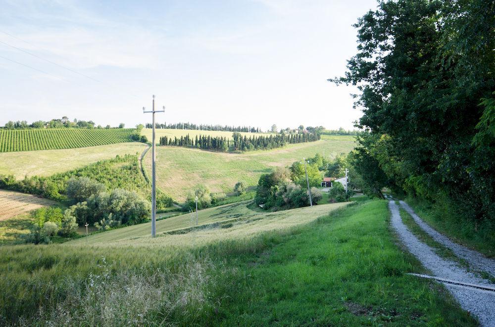 Villa Agriturismo Ca'De'Gatti à Faenza Extérieur photo